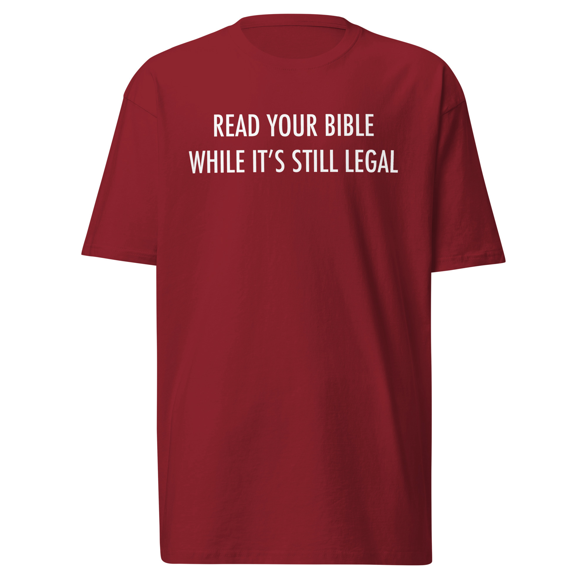 Read Your Bible T-Shirt / Brick Red / S